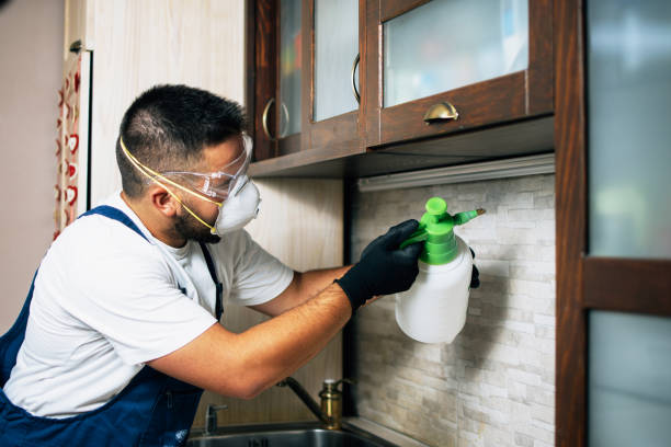 Best Local Pest Control Services  in Jefferson, NC