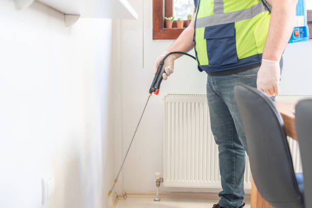 Flea Control Services in Jefferson, NC