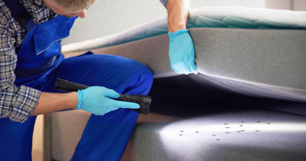 Best Pest Prevention Services  in Jefferson, NC