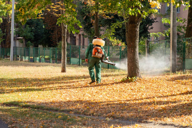 Wasp Removal Services in Jefferson, NC