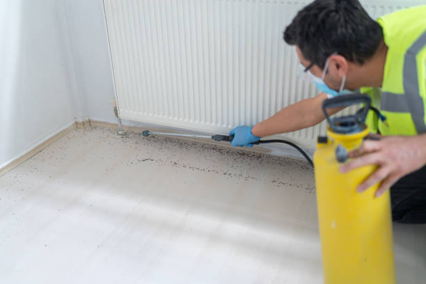 Best Emergency Pest Control  in Jefferson, NC